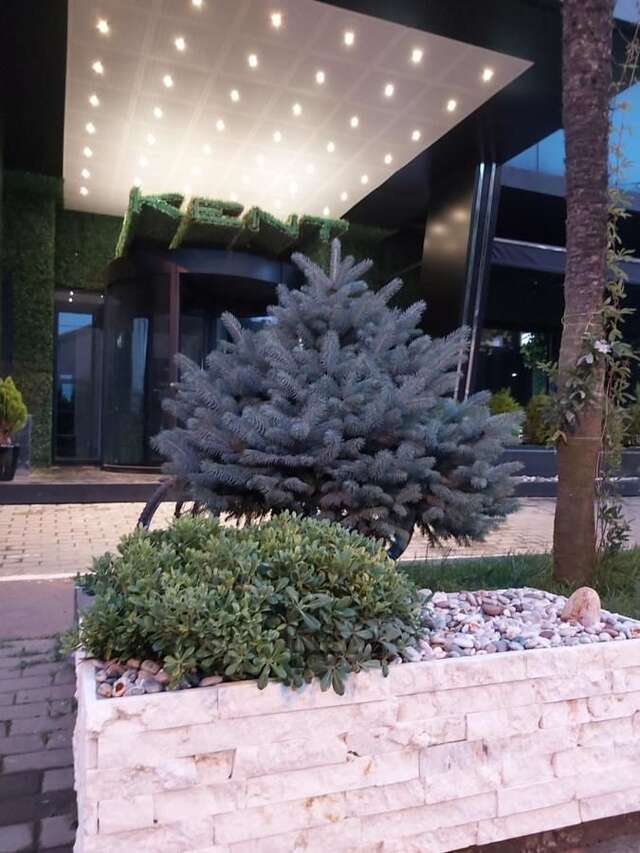 Отель Kent Hotel Кобулети-5